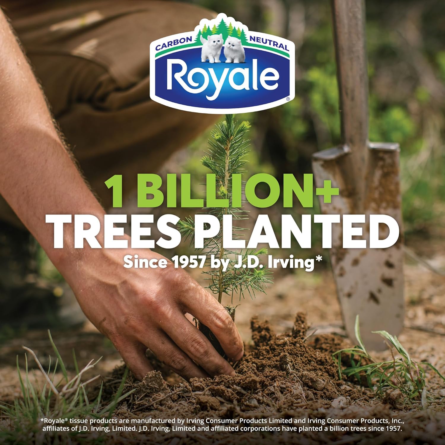 Royale Velour Toilet Paper, 12 Equal 48 Rolls, 284 Bathroom Tissues per roll